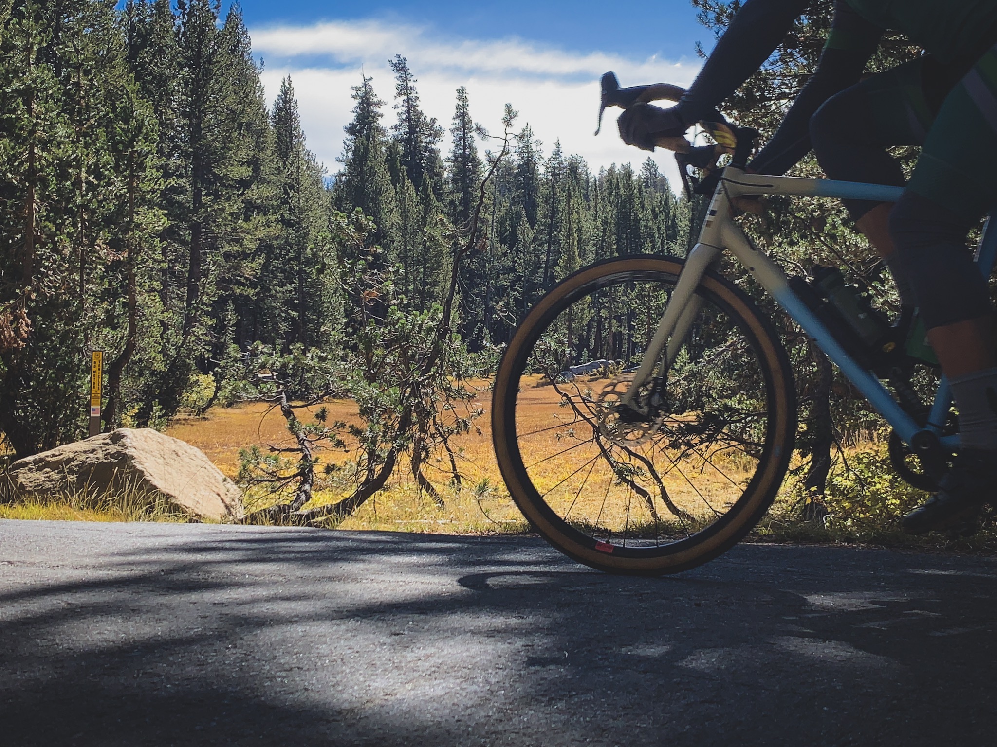 Bike Monkey