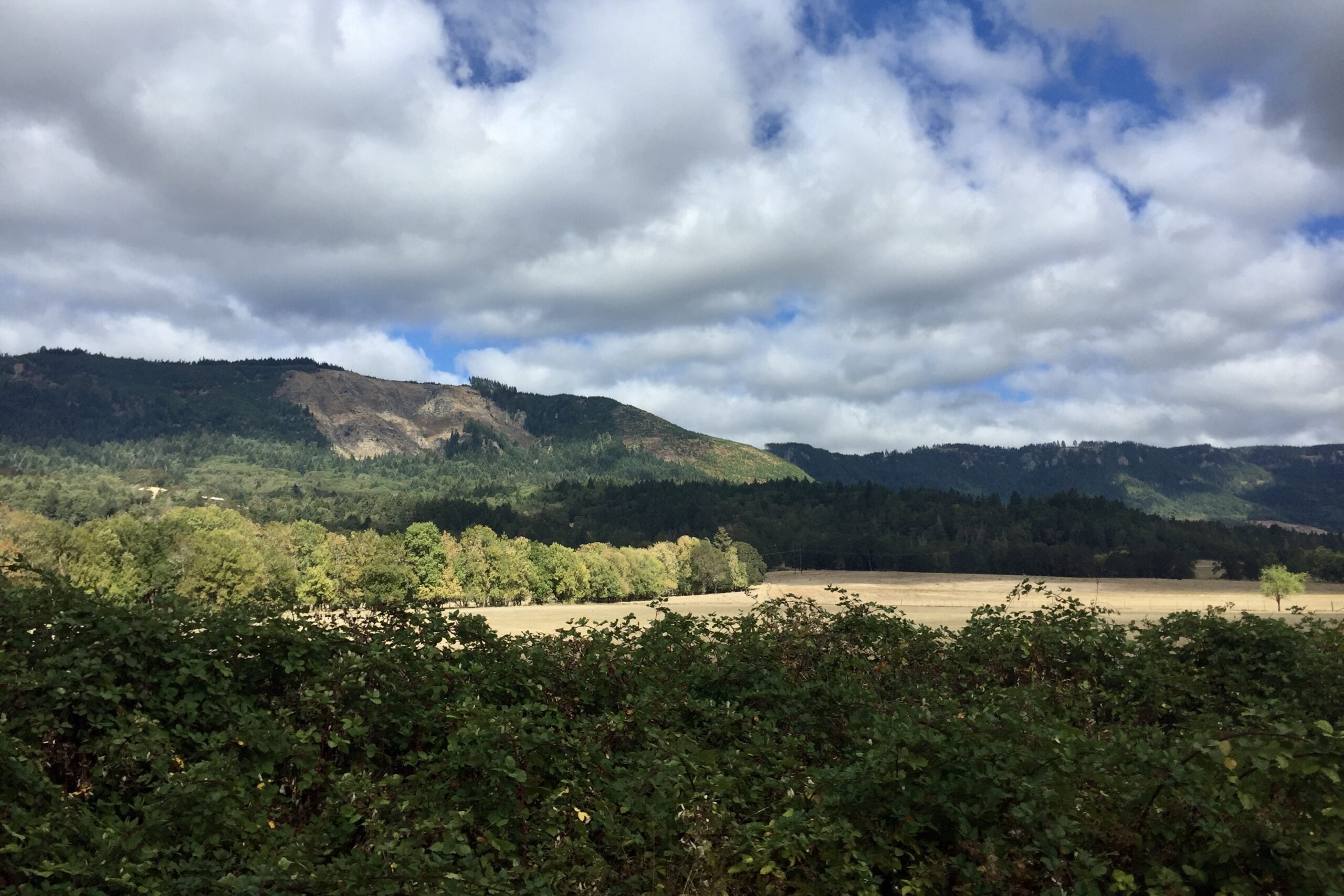 Cycle Oregon