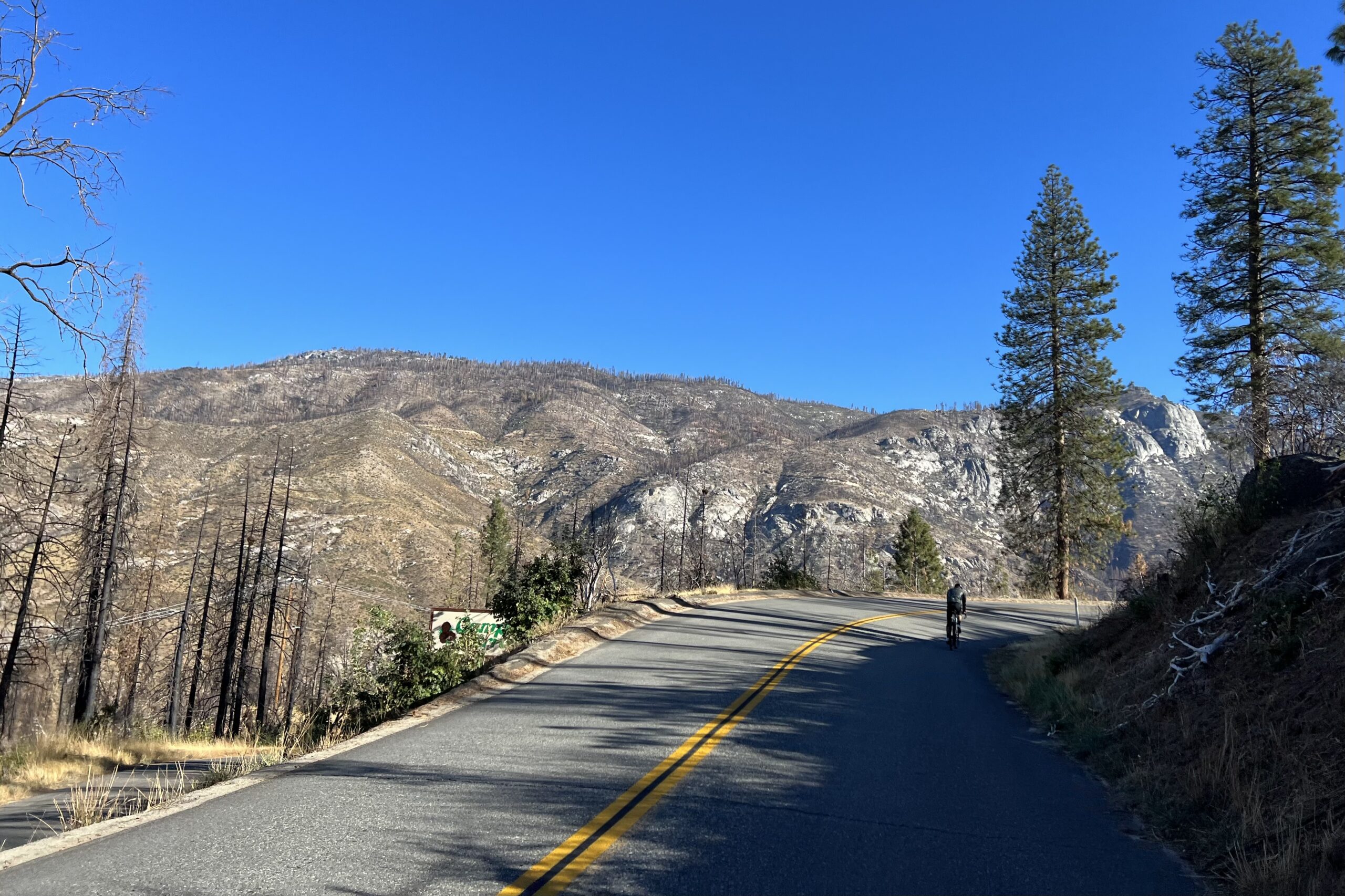 Shaver Hammer Road Rally