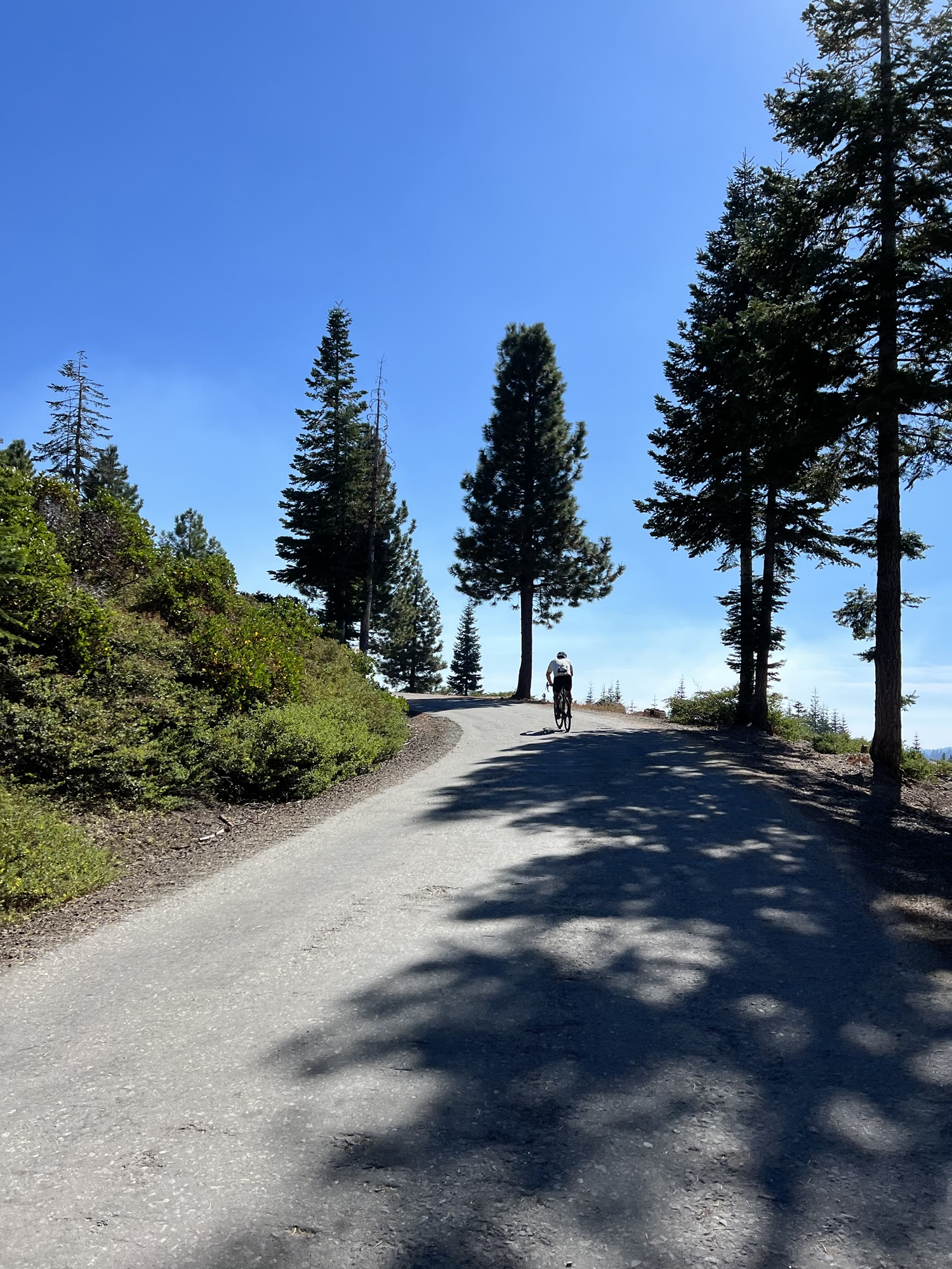 Hammer Road Rally