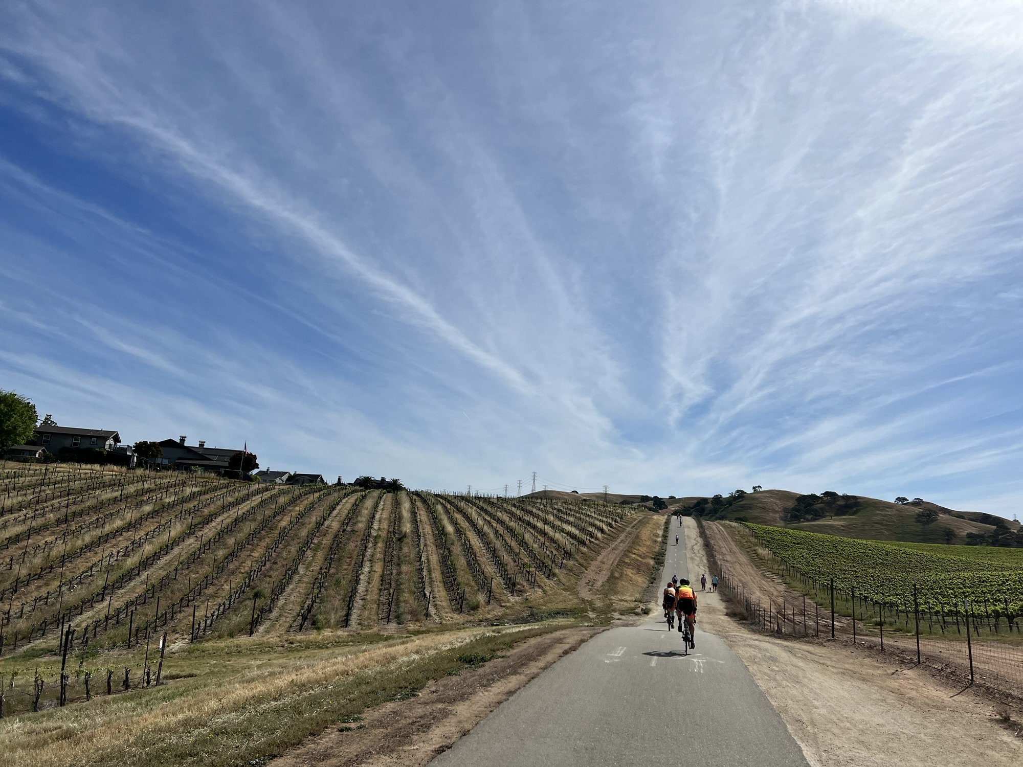 Fremont Primavera