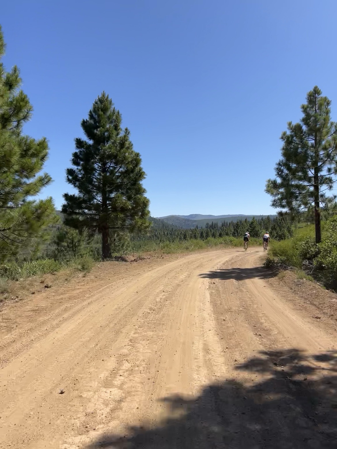Truckee Tahoe Gravel