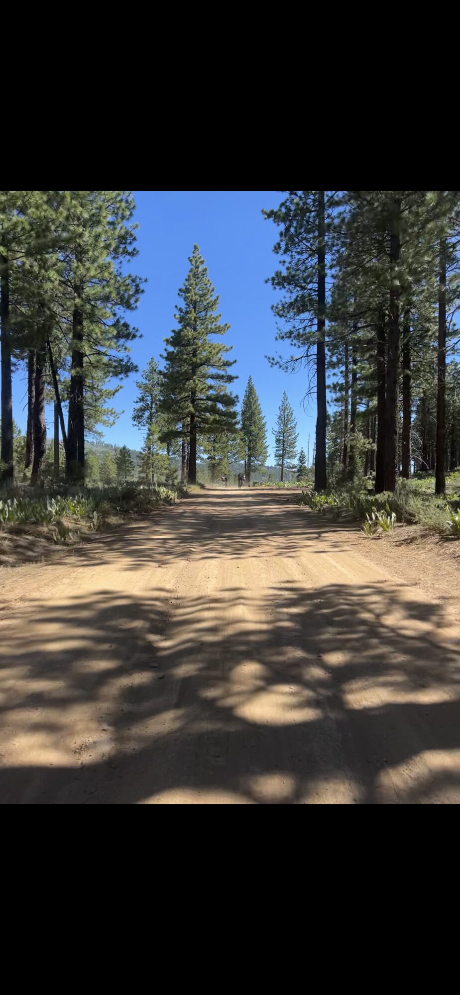 Truckee Tahoe Gravel