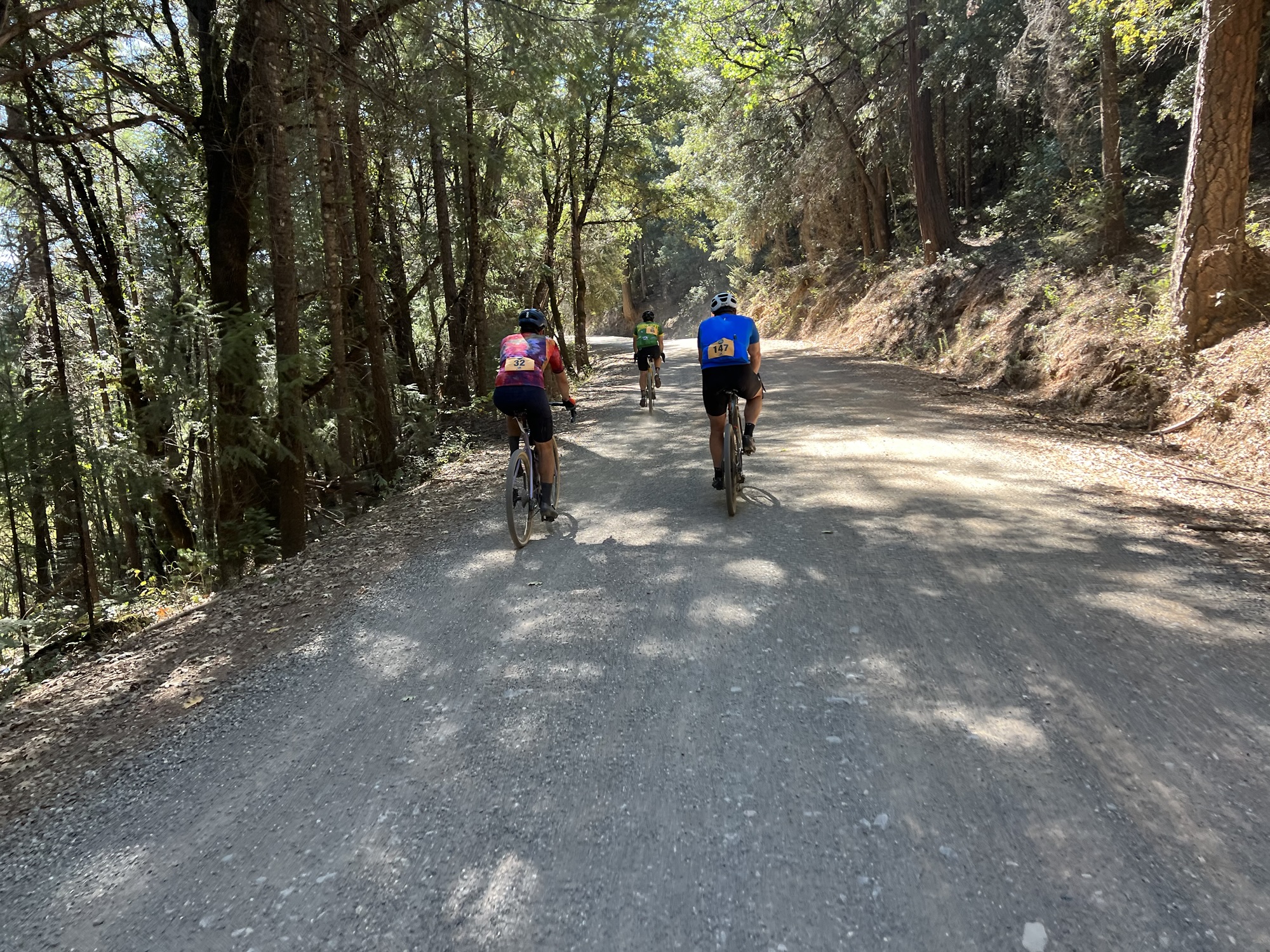 Heart of Gold Gravel