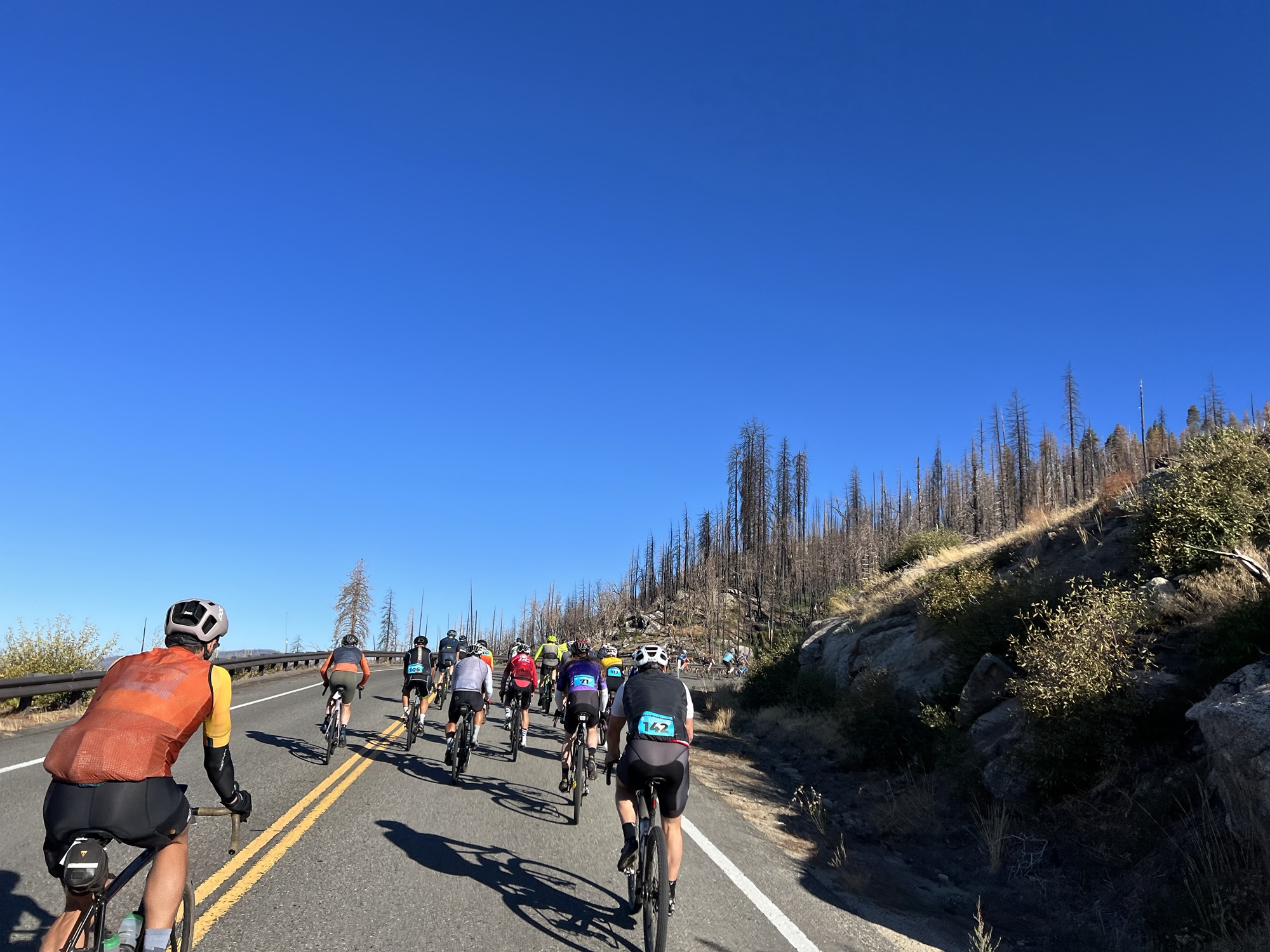 Shaver Hammer Road Rally